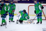 SabresvWhalers_8Feb_0078