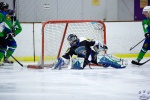 SabresvWhalers_8Feb_0391