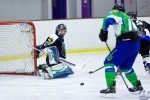SabresvWhalers_8Feb_0407