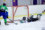 SabresvWhalers_8Feb_0411
