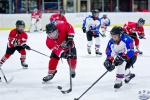 NorthStarsvBears_Atoms_4May_0425