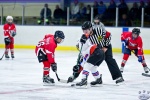 NorthStarsvBears_Atoms_4May_0143