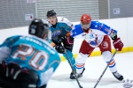 IceDogsvNorthStars_10May_0134