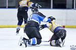 D3_SharksvGoldMiners_12May_0283