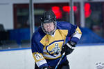 D3_SharksvGoldMiners_12May_0004