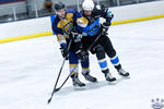 D3_SharksvGoldMiners_12May_0066
